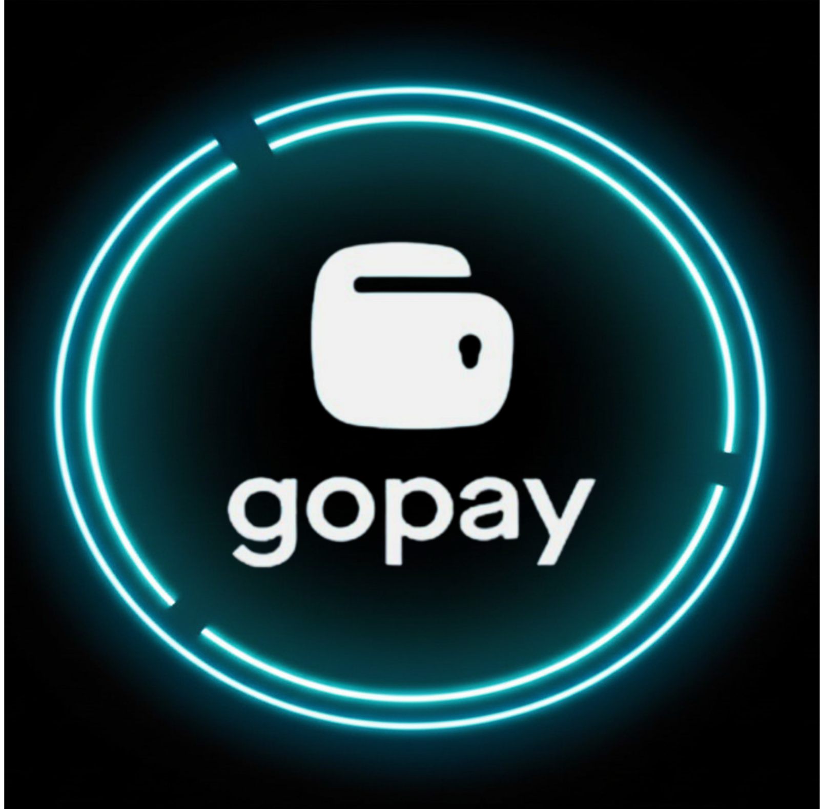 GOPAY - DRIVER